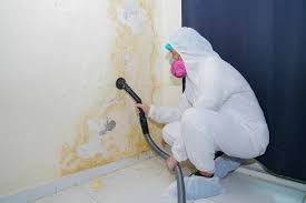 Trusted Collings Lakes, NJ Mold Removal & Remediation Experts